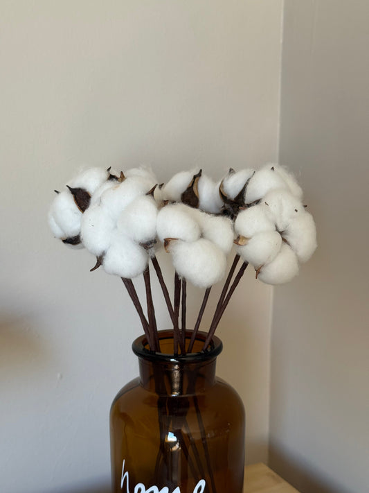 Home Sweet Amber Cam Vazo 10 lu Pamuk Demeti Hediye KOD:1076-6222